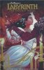 LABYRINTH THE GRAPHIC NOVEL HC [9798892155762]